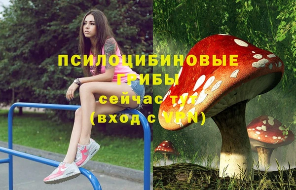 каннабис Алексин