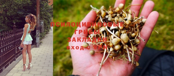 каннабис Алексин