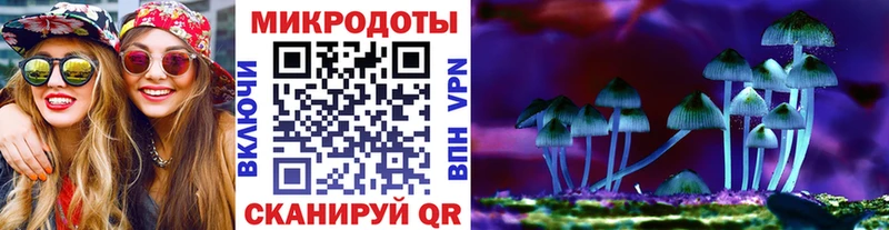 Купить  Меленки  Псилоцибиновые грибы прущие грибы 
