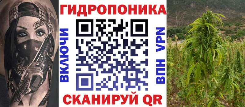 Шишки марихуана SATIVA & INDICA  Купить  Меленки 